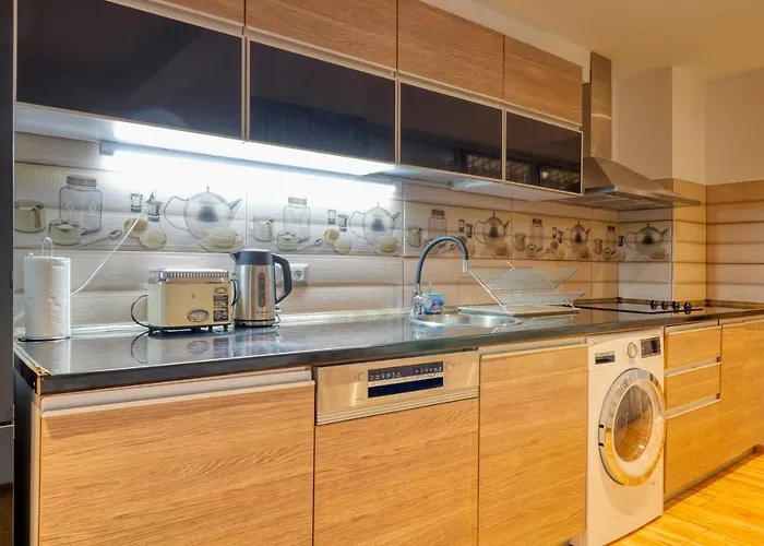 3 Bedroom In Herastrau Area Boekarest