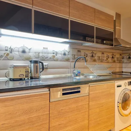 3 Bedroom In Herastrau Area 布加勒斯特